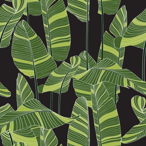 Tropical jungle banana leaf pattern Royalty Free Vector