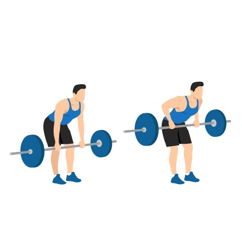 Athlete performs bent-over rows exercise vector image