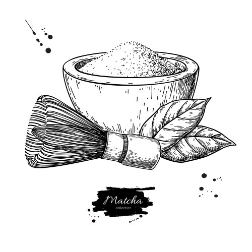 Matcha green tea powder splash with leaves Vector Image