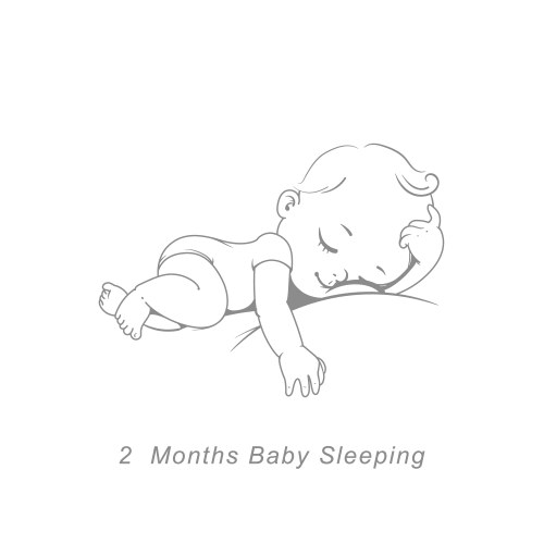 Badevelopment bagrowth from newborn Royalty Free Vector