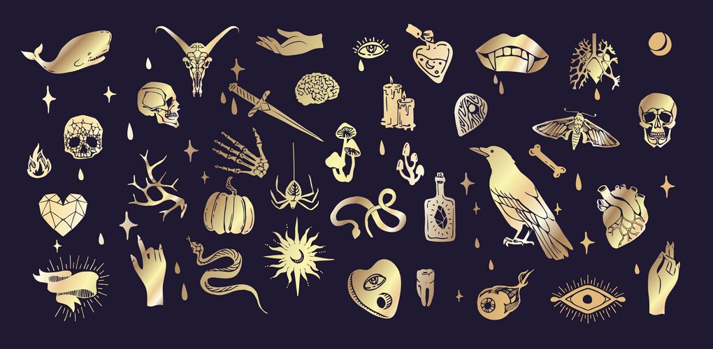 Set of boho hand drawn mystical magic Vector Image