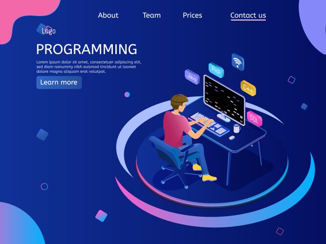 programmer isometric character programming vector image