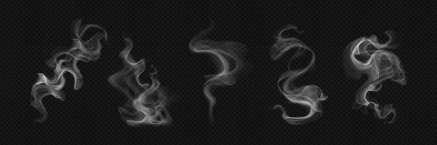 White realistic smoke elements Vector Image
