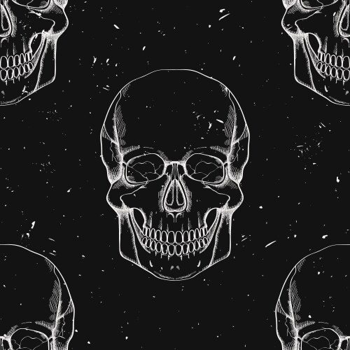 Anatomy seamless pattern with human skulls Vector Image