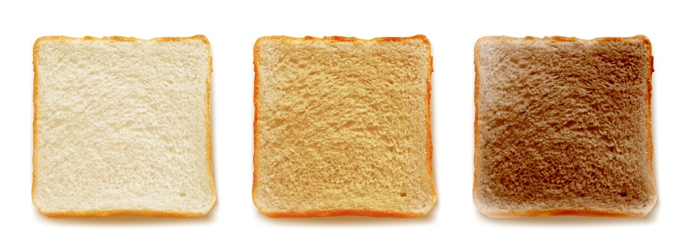 toasted bread for sandwich 3d isolated vector image