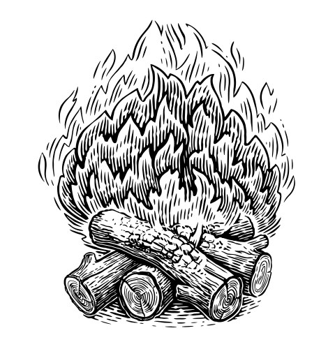 Campfire drawing outdoor bonfire of branches Vector Image