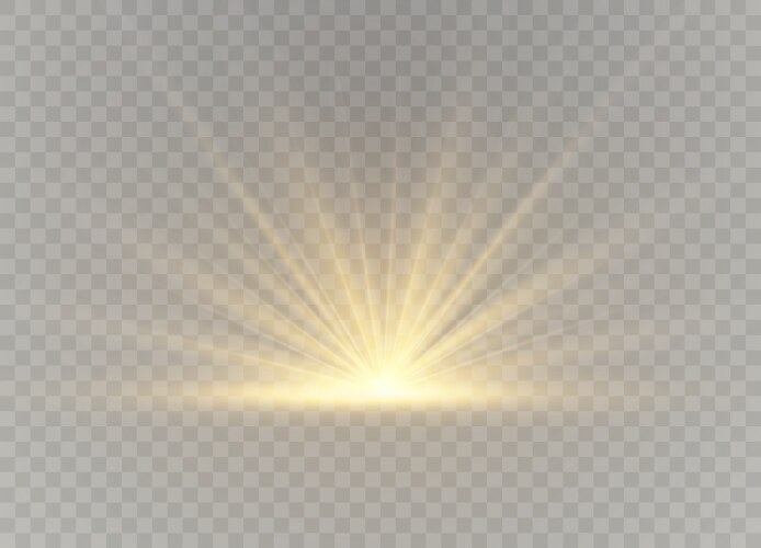 light highlight yellow vector image