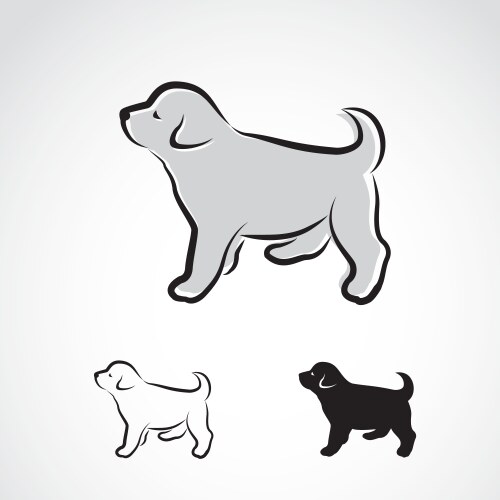 dog labrador puppy vector