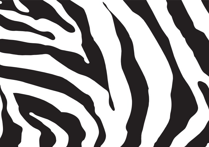 zebra print vector