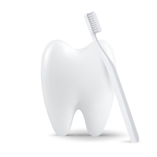 3d realistic tooth with toothbrush isolated vector