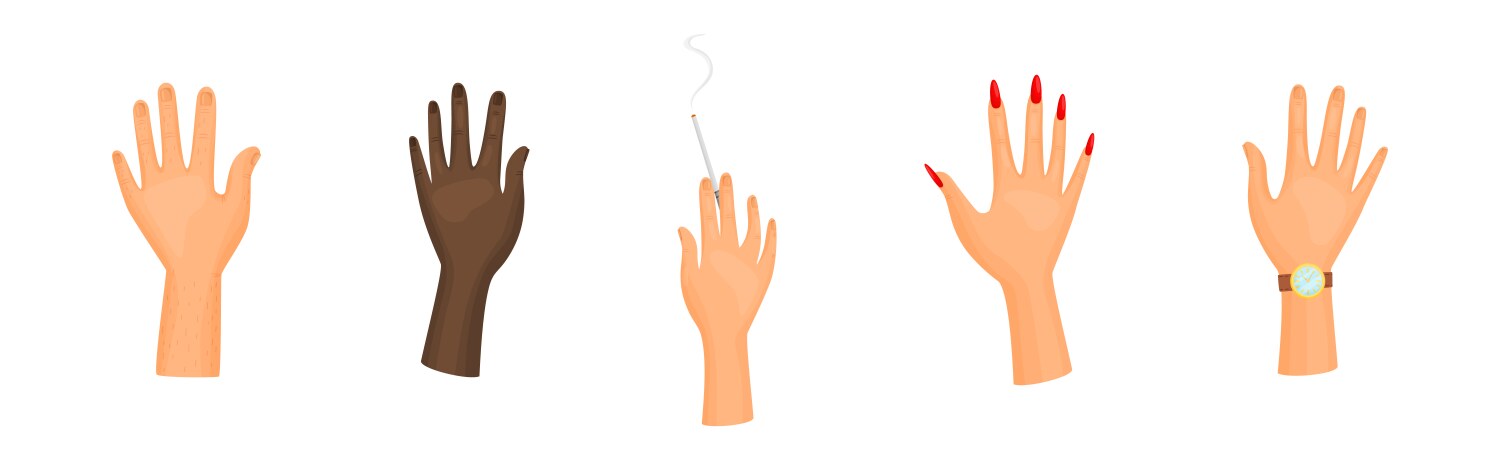 Human body external parts Vector Images & Graphics for Commercial Use ...