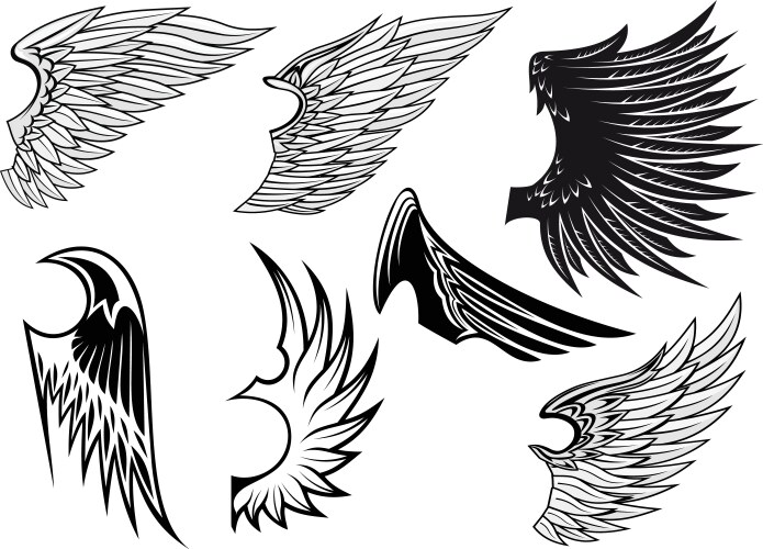 Winged Heraldry Set Vector Image