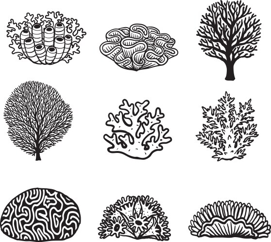 Black and White Coral Reef Vector Images (over 2,500)