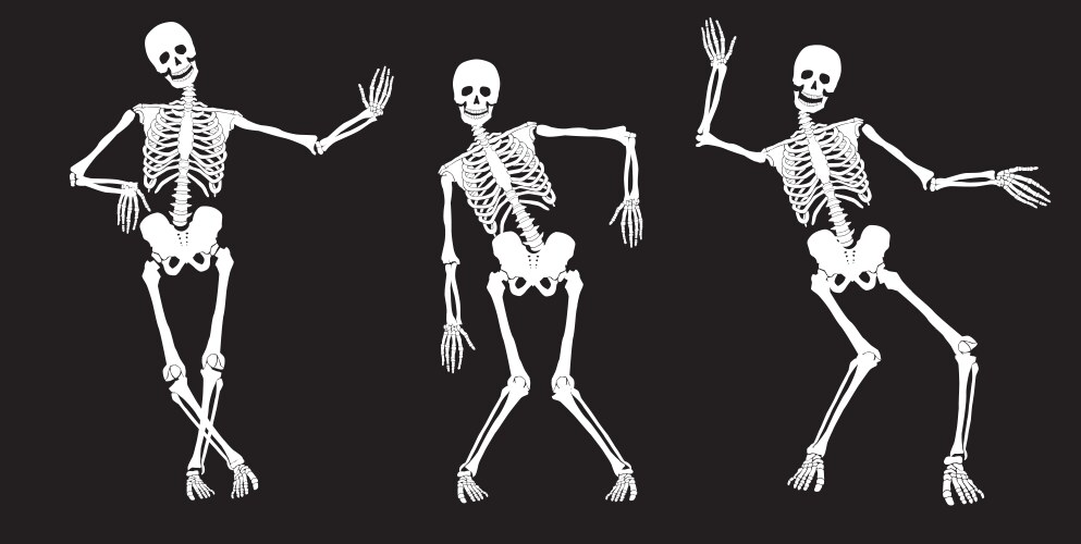 Skeleton yoga Royalty Free Vector Image - VectorStock