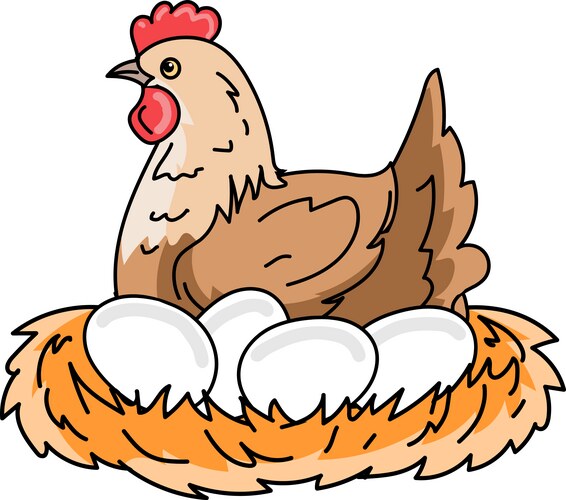 Chicken and eggs stock Vector Image