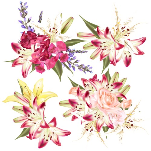 Watercolor Floral Set - Lily Roses Vector Image