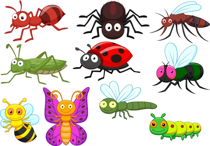 insect cartoon collection set vector image