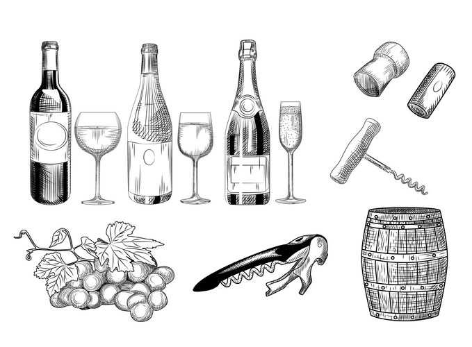 Wine Glass and Bottle Set Vector Image