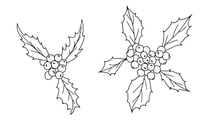 Christmas holly leaves berries Vector Image