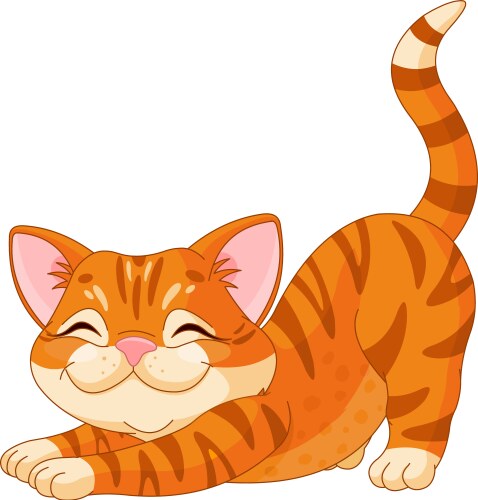 Stretching Kitten Vector Image