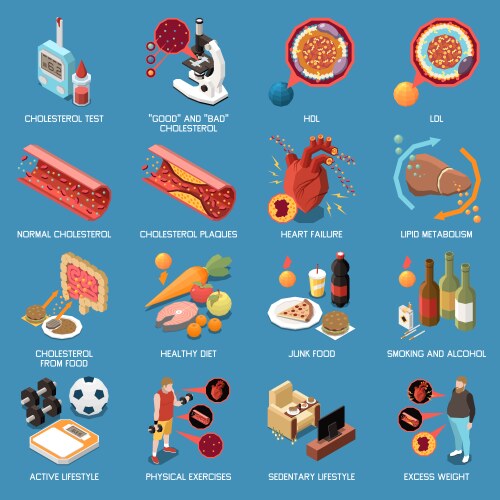 Cholesterol level isometric set Royalty Free Vector Image