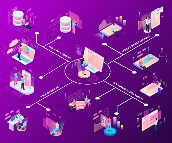 Programming Isometric Flowchart vector image