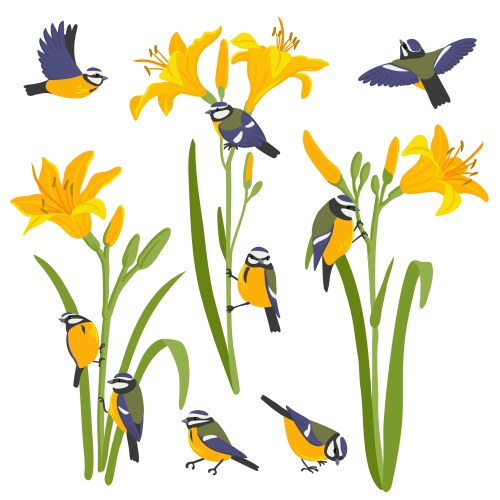 Drawing garden flowers and birds Royalty Free Vector Image