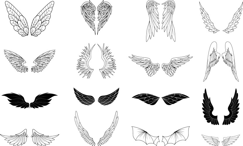 Diverse Wing Collection Vector Image
