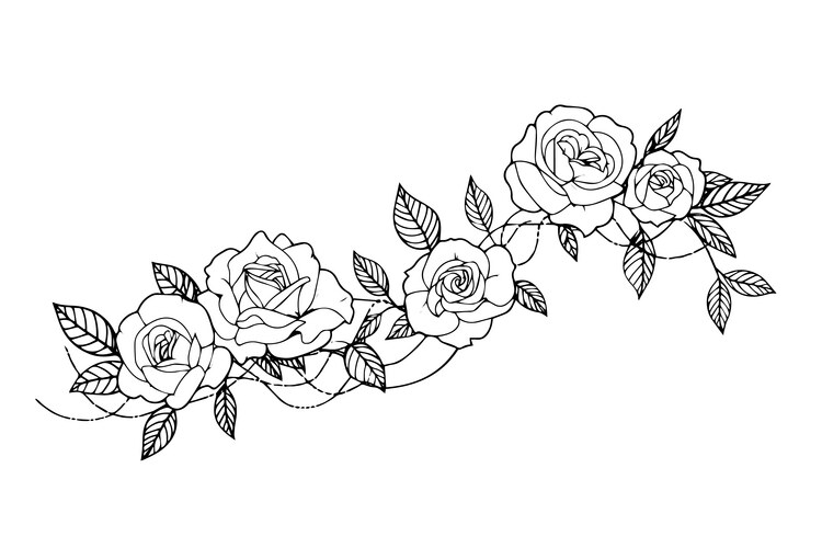 Roses border vintage simple line art hand drawn Vector Image