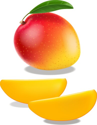 Realistic ripe mango fruit with leaf Royalty Free Vector