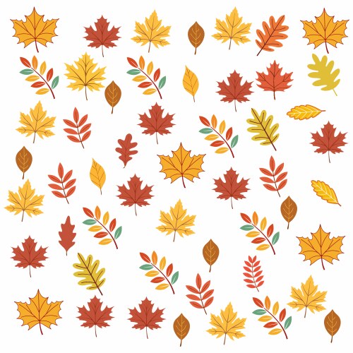 Vibrant autumn leaves pattern design Vector Image