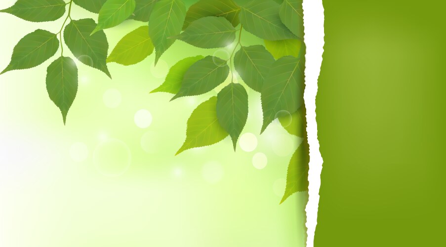 Green eco city and nature landscape background Vector Image