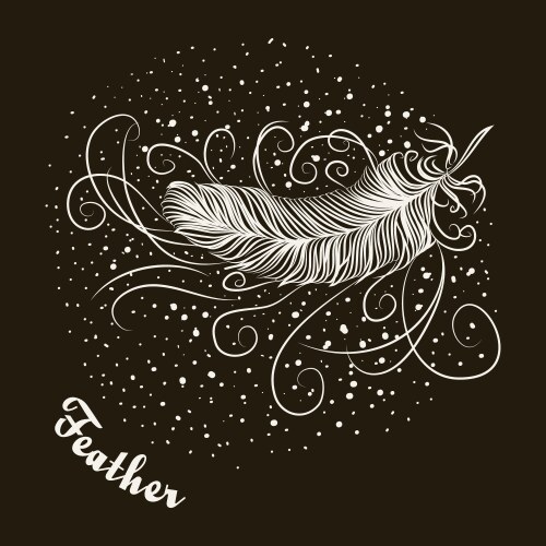 Bird Feather Vector Images (over 160,000)