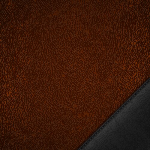 brown leather textured background with black label vector image