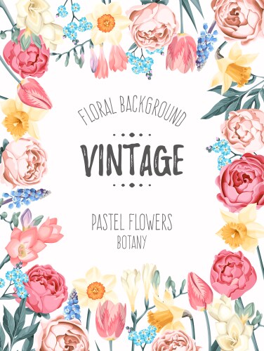 Vintage card with roses and dry flowers Royalty Free Vector