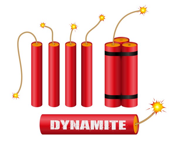 Set realistic dynamite with burning wick vector image