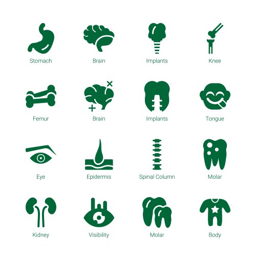 Anatomy icons vector image