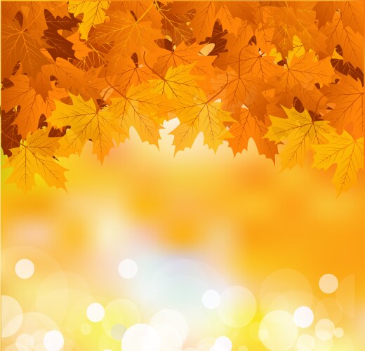 autumn leaves background