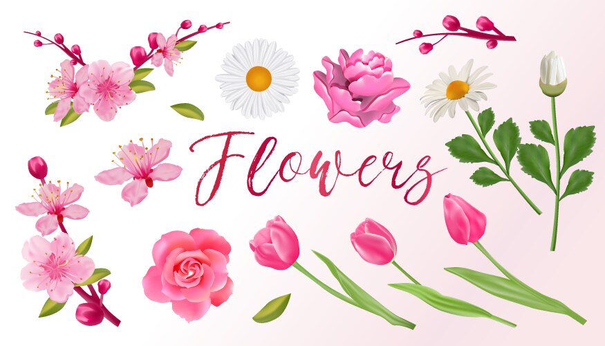 Spring Floral Collection: Sakura, Tulips & Roses Vector Image