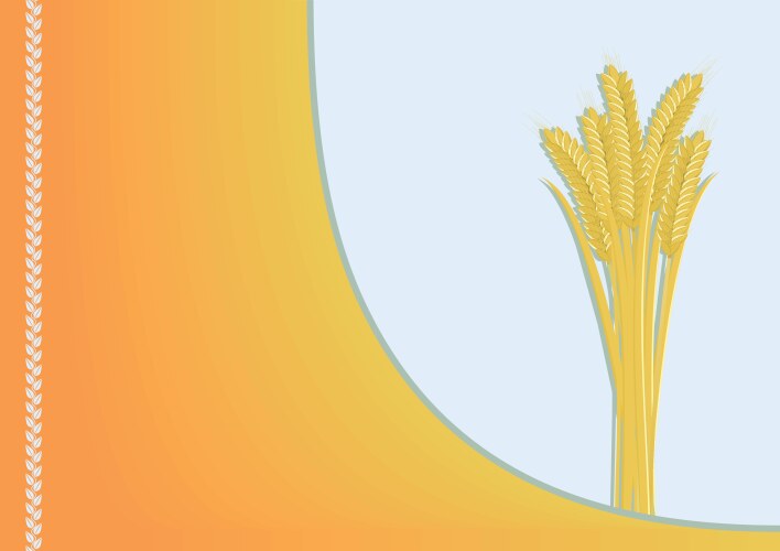 Realistic wheat ears 3d cereal crops oats Vector Image