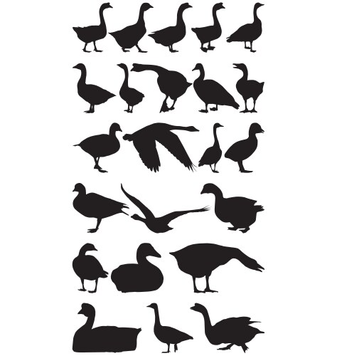 Geese Silhouettes Vector Image