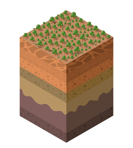 forest farm soil layers geological and underground vector image