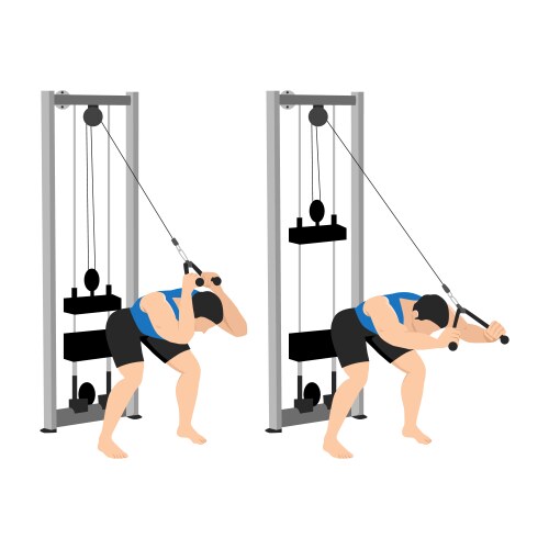 man doing bent over rope triceps extensions vector image