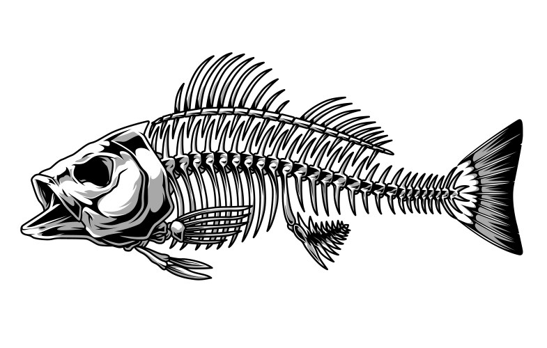 Bass Skeleton Vector Images (over 160)