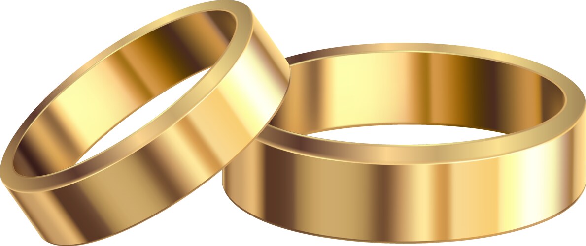 Gold wedding rings Royalty Free Vector Image - VectorStock
