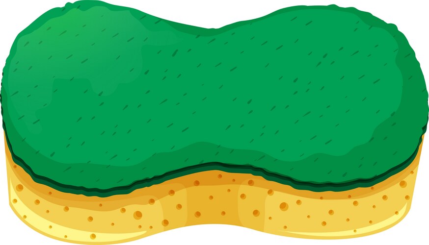 Sponge with two layers Vector Image