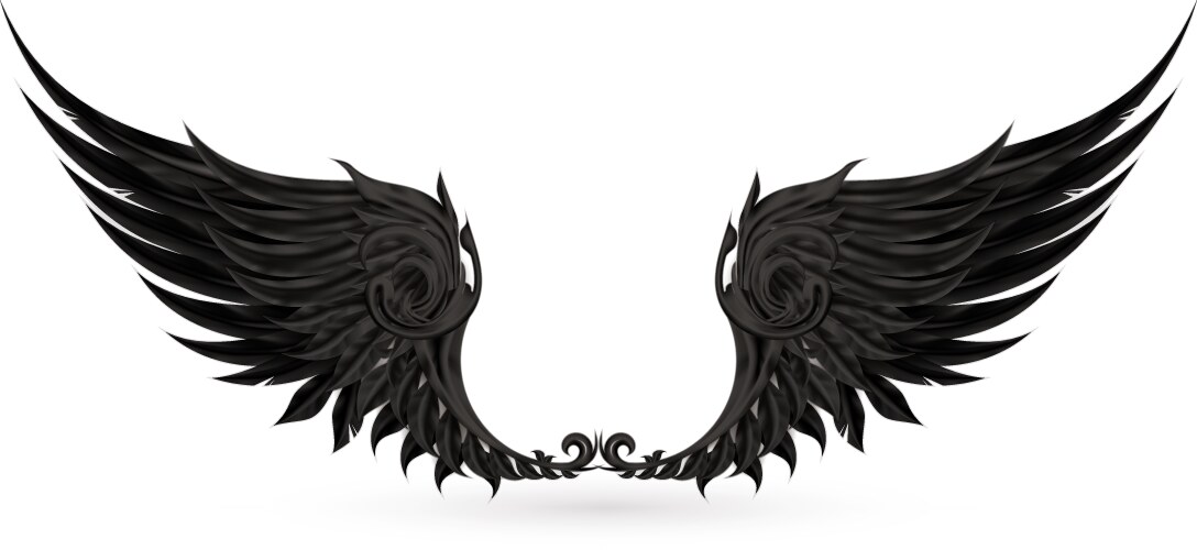 wings black vector