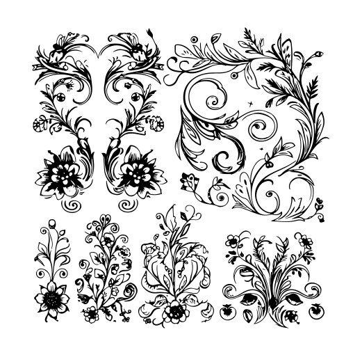 Set of branch and leaves collection floral hand vector image