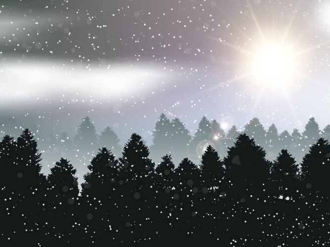 Forest background beautiful landscape wallpaper Vector Image