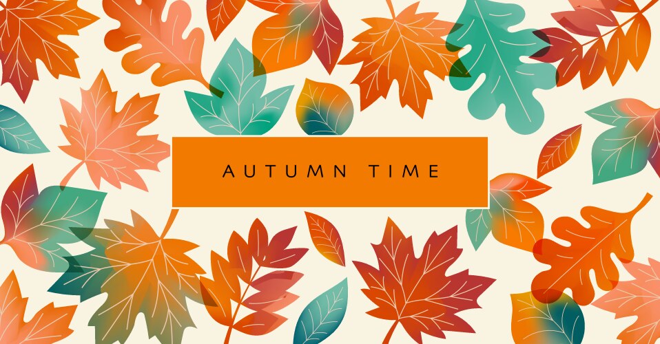 Abstract autumn background with colorful leaves Vector Image